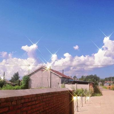 青云仙侠手游